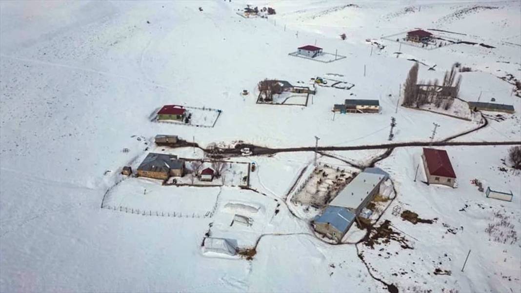 İstanbul'daki işini bıraktı, tek kuruş devlet desteği almadan Erzurum'da dev tesis kurdu 4